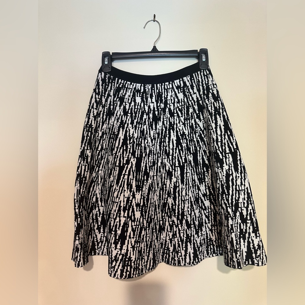 Black and White Skirt